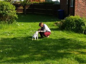 Dog Obedience Classes Suffolk