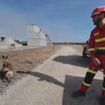 Dog Training Heroes
