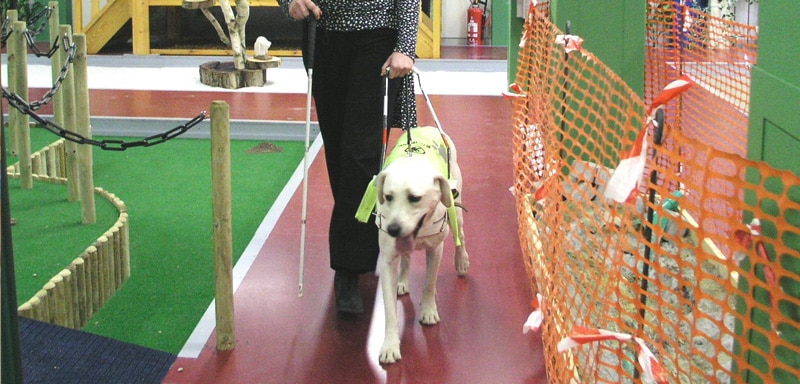 Guide Dogs - More Dog Training Heroes